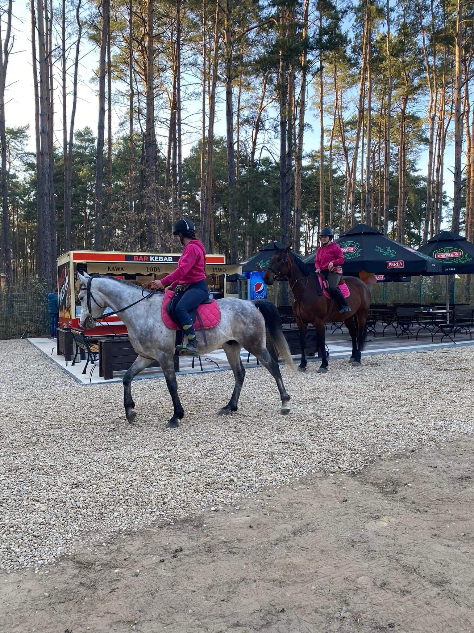 Camping Forest Glade (Leśna Polana / Mazurski Camping)